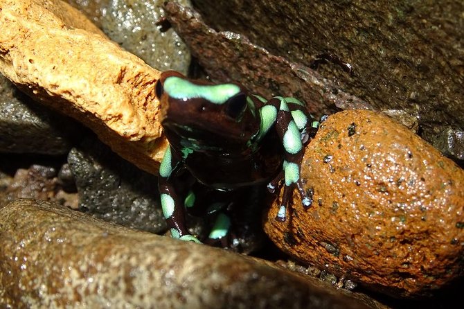 Bayano Canyoning From Panama City - Key Points