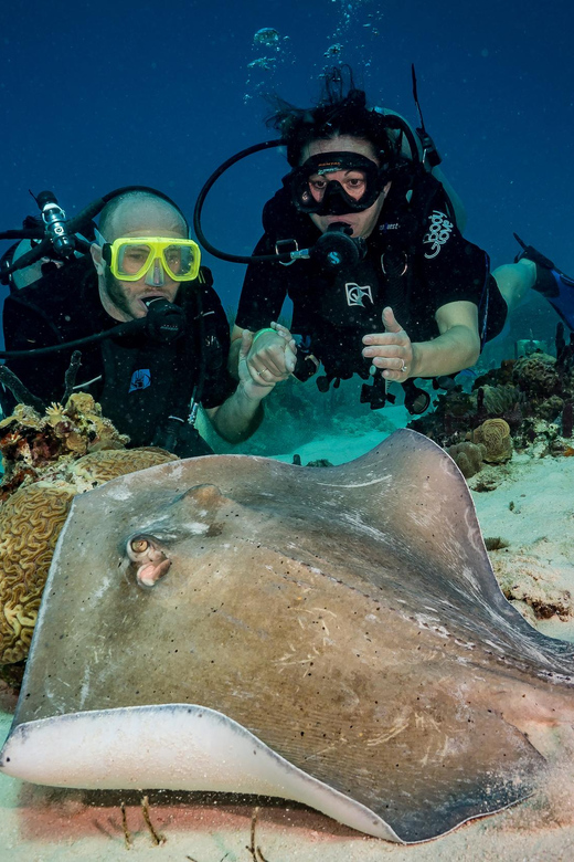 Bayhibe: Private 2 Tank Scuba Dive Tour in the National Park - Tour Overview