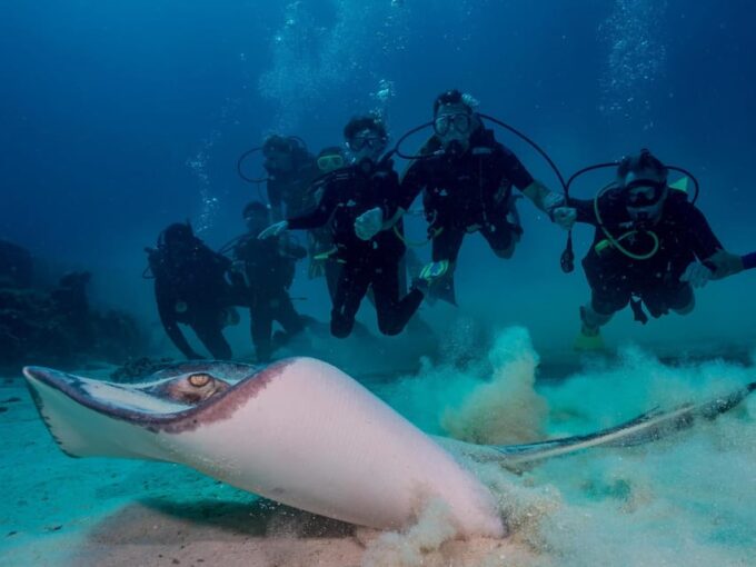 Bayhibe: Private 2 Tank Scuba Dive Tour in the National Park - Pickup Locations and Travel Time