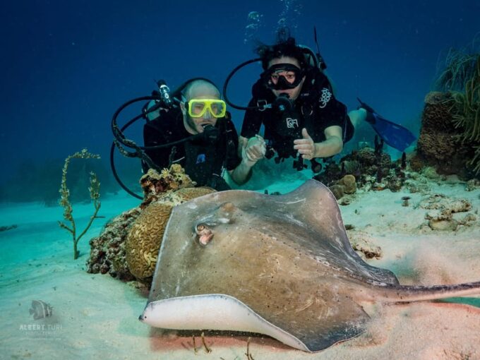 Bayhibe: Private 2 Tank Scuba Dive Tour in the National Park - National Park Exploration