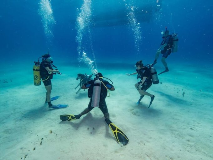 Bayhibe: Private 2 Tank Scuba Dive Tour in the National Park - Recap