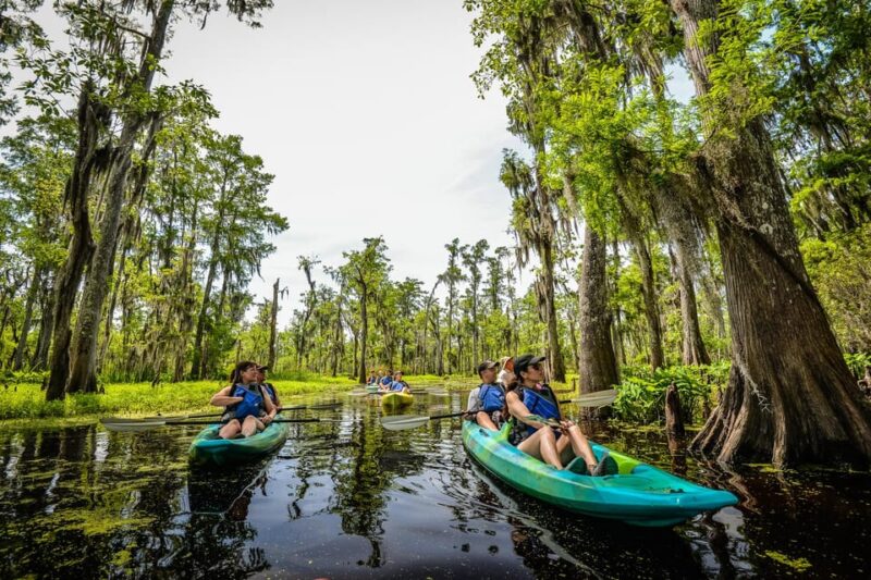 Bayous And Byways, Oak Alley Plantation And Kayak Swamp Tour - Pickup Location and Van Transfer