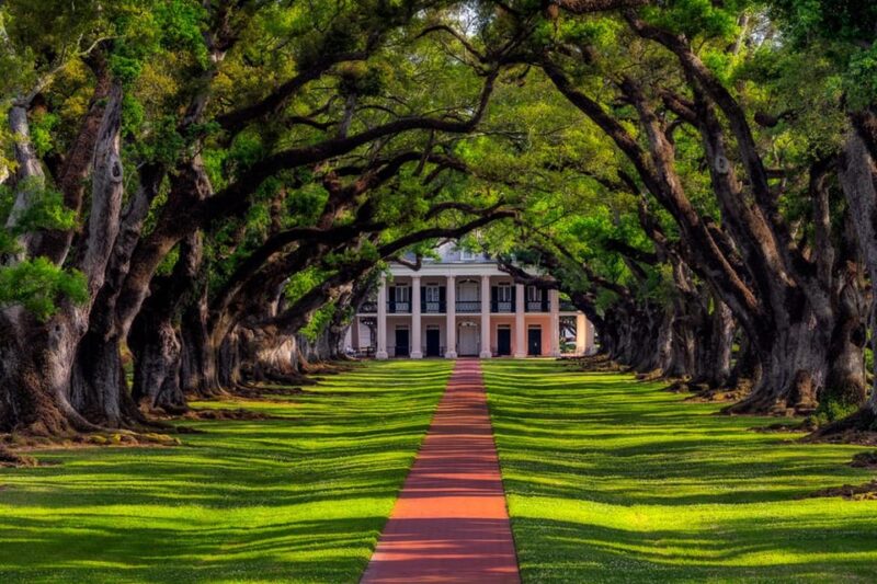 Bayous And Byways, Oak Alley Plantation And Kayak Swamp Tour - Lunch at Oak Alley Plantation