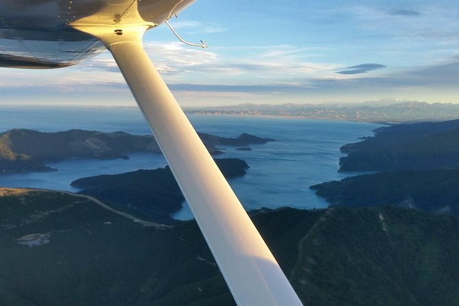 Bays and Bush Scenic Tour - Marlborough Sounds Scenery