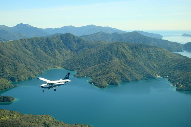 Bays and Bush Scenic Tour - Activity Recommendations