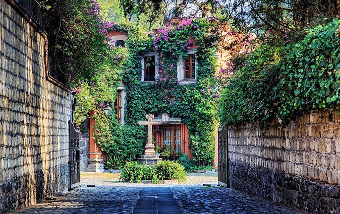 Bazaar Saturday - Convent of Carmen - San Angel - Museo Del Carmen: a Monastic School-Turned-Museum