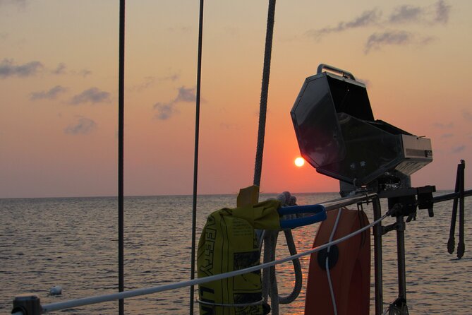 BBQ & Sunset Tour - Snorkeling Opportunities