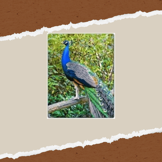 Be A Farmer for A Day in Arevitis Farm! - Connection to Nature and Lifestyle