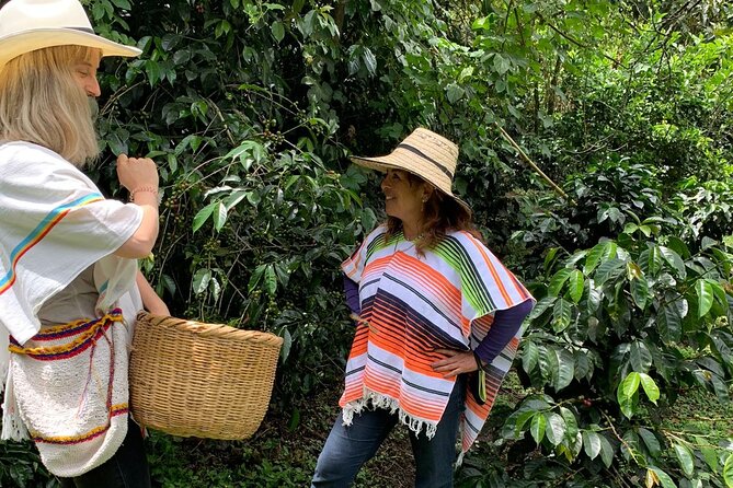 Be a Farmer for One Day (Coffee Farm Experience) - Duration and Group Size
