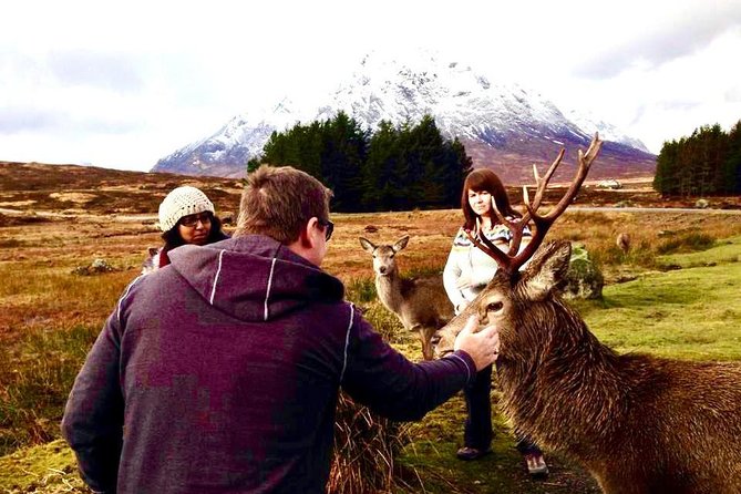 Be Enchanted by the Breathtaking Scenery of the Scottish Highlands - Delightful Meal at The Drovers Inn
