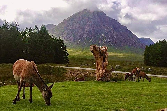 Be Enchanted by the Breathtaking Scenery of the Scottish Highlands - Experience the Private Tour