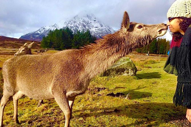 Be Enchanted by the Breathtaking Scenery of the Scottish Highlands - Questions About Staying Here