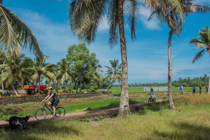 Beach and Backwaters of Kerala Ride - Beaches of Kovalam and Varkala