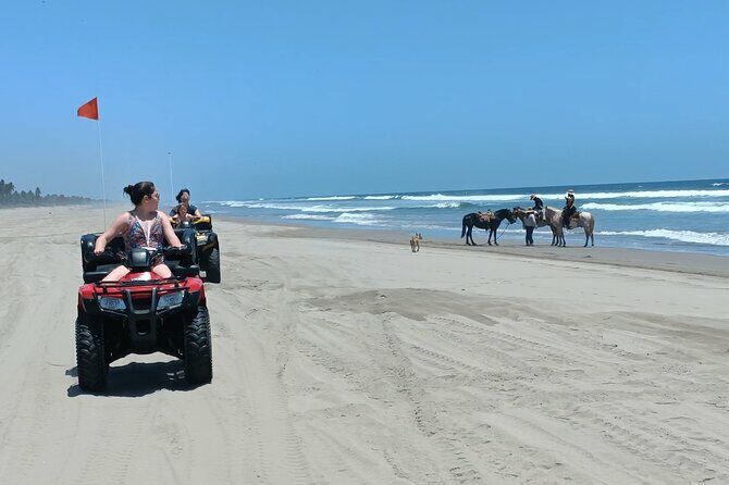Beach Blast ATV's & City Tour - Who This Tour Is Perfect For