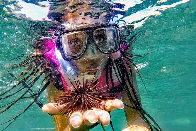 Beach Breake Experience & Snorkeling Different Options &City Tour - Confirmation and Accessibility