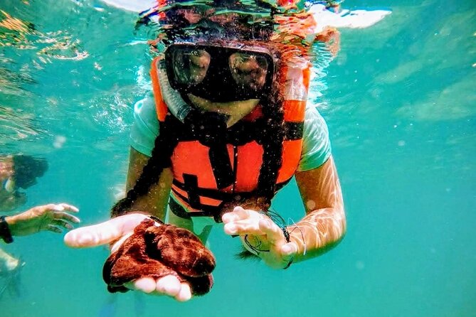 Beach Breake Experience & Snorkeling Different Options &City Tour - Pricing and Discounts