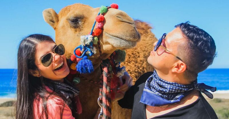 Beach Camel Ride & Encounter in Cabo by Cactus Tours Park - Key Points