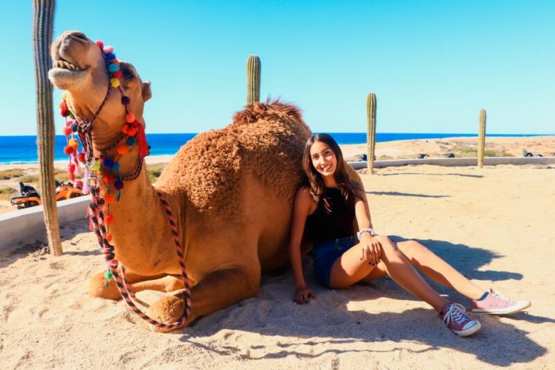 Beach Camel Ride & Encounter in Cabo by Cactus Tours Park - Experience Highlights