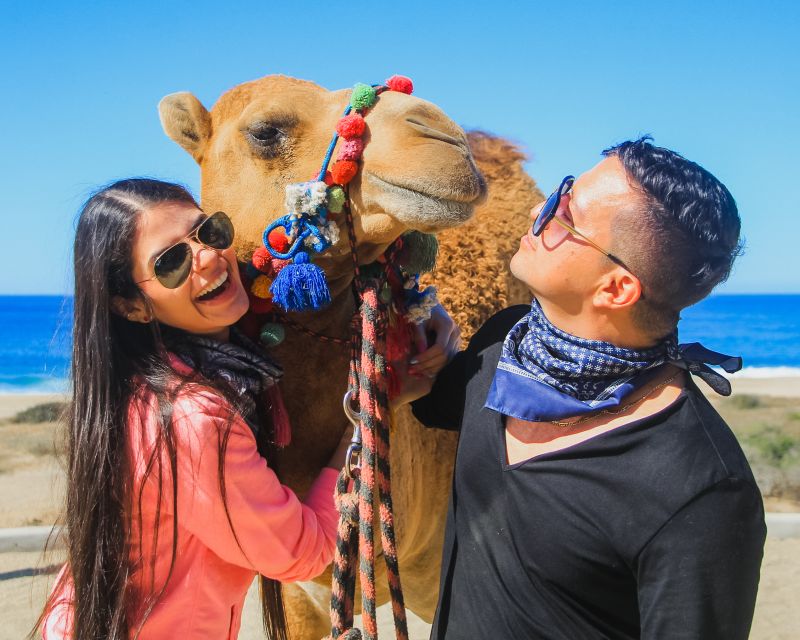 Beach Camel Ride & Encounter in Cabo by Cactus Tours Park - Itinerary Details