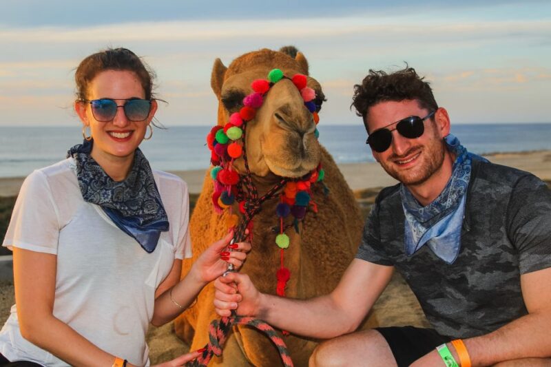 Beach Camel Ride & Encounter in Cabo by Cactus Tours Park - Not Suitable For