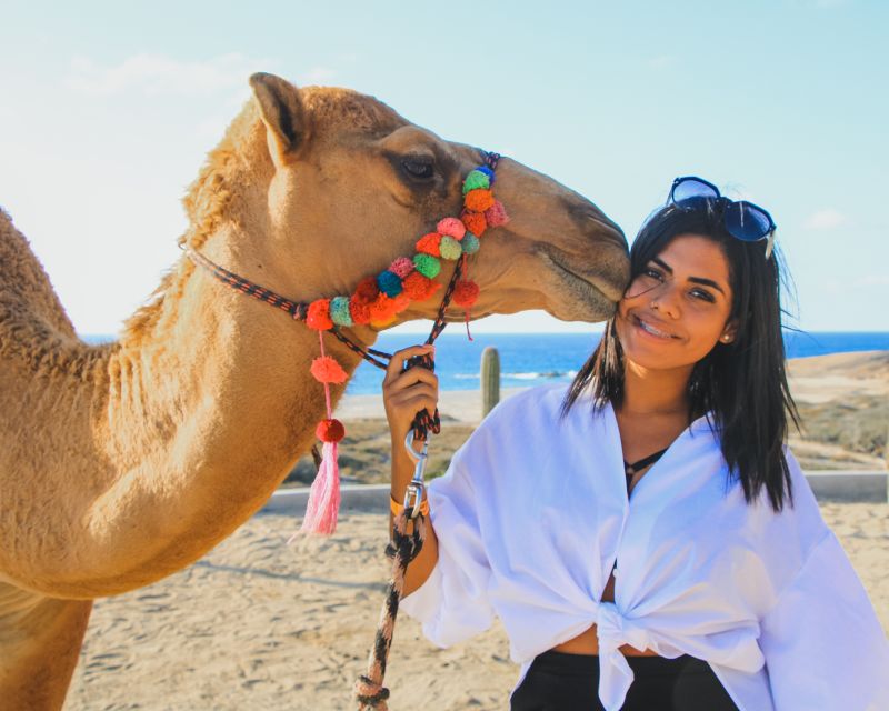 Beach Camel Ride & Encounter in Cabo by Cactus Tours Park - What to Bring