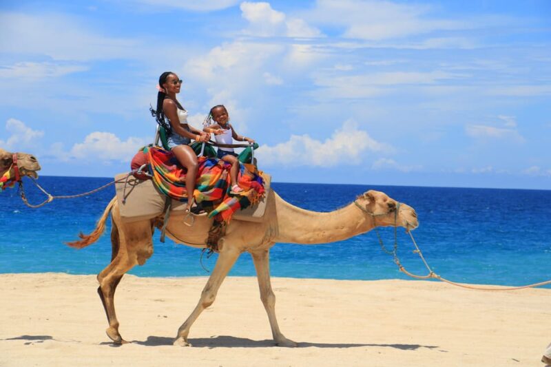 Beach CAN-AM SXS X3 & Camel Ride in Cabo by Cactus Tours - Experience Highlights