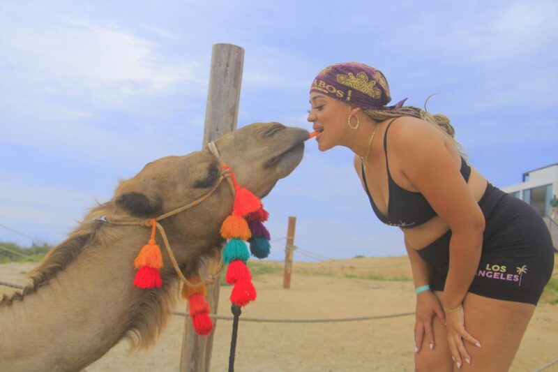 Beach CAN-AM SXS X3 & Camel Ride in Cabo by Cactus Tours - Inclusions and Exclusions