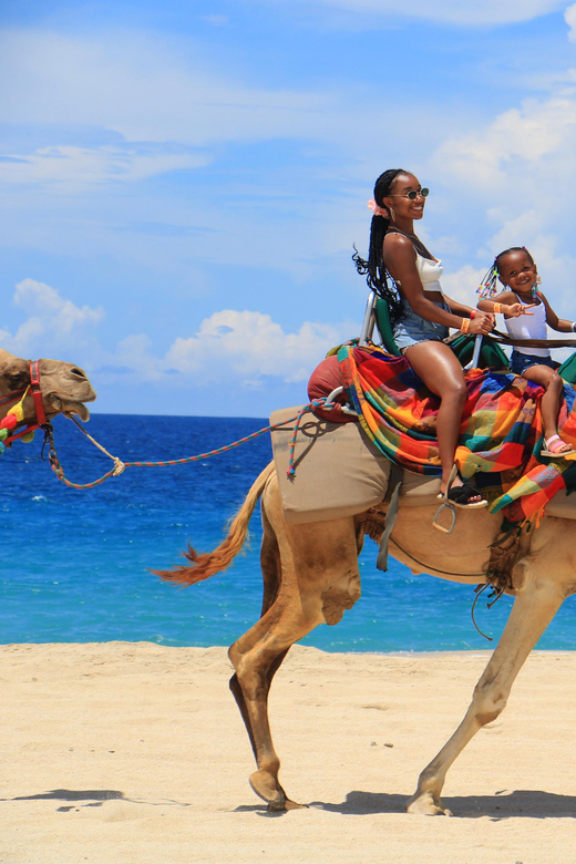 Beach CAN-AM SXS X3 & Camel Ride in Cabo by Cactus Tours - Age and Accessibility