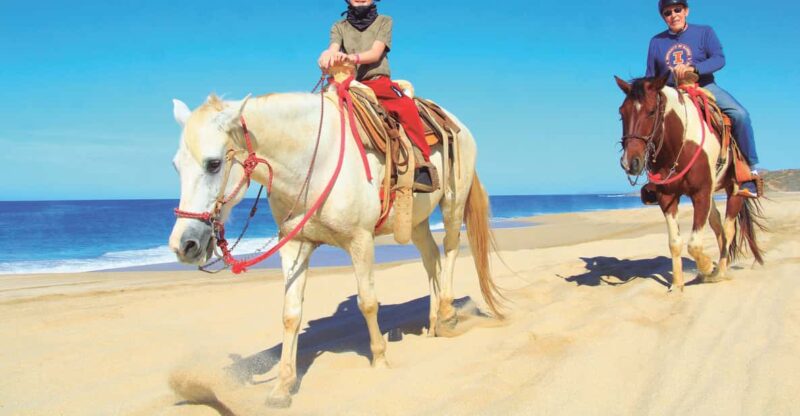 Beach CAN-AM SXS X3 & Horseback Ride in Cabo by Cactus Tours - Key Points