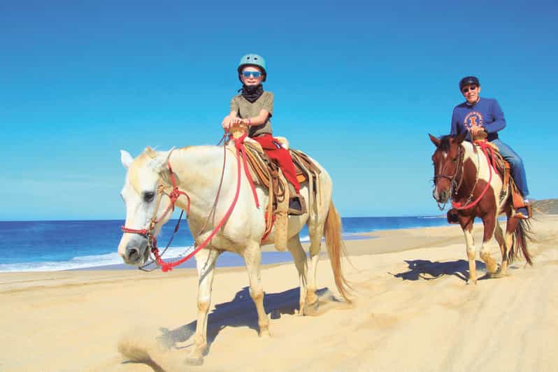 Beach CAN-AM SXS X3 & Horseback Ride in Cabo by Cactus Tours - Experience Highlights