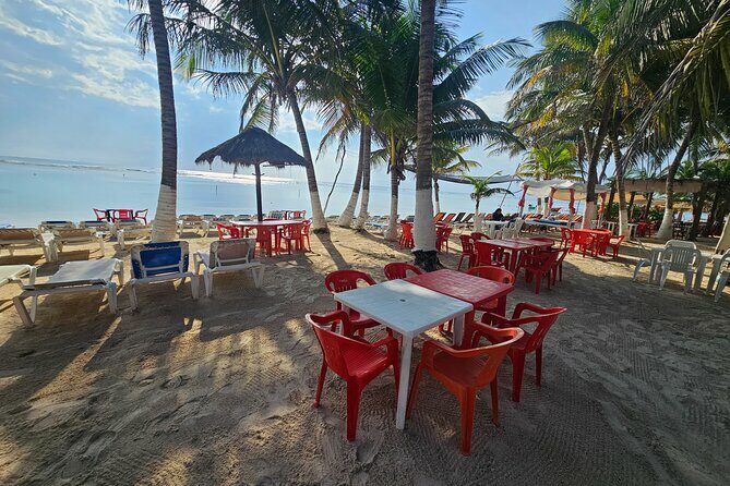 Beach club restaurant kraken - What to Expect at Kraken Beach Club