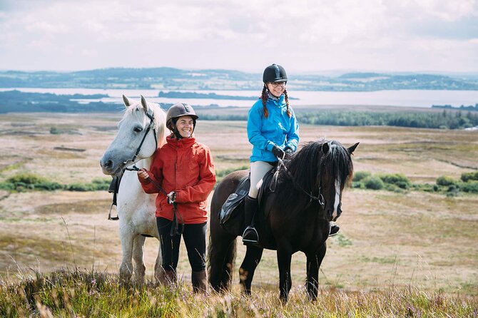 Beach & Countryside Horse Riding Outside Westport. Guided. 1 Hour - Riding Restrictions