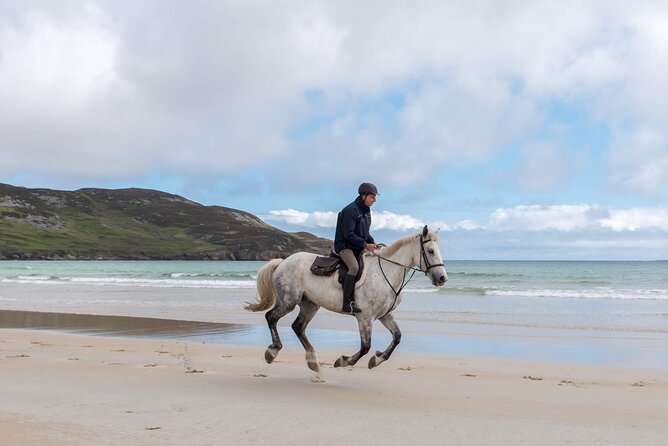 Beach & Countryside Horse Riding Outside Westport. Guided. 1 Hour - Booking Information