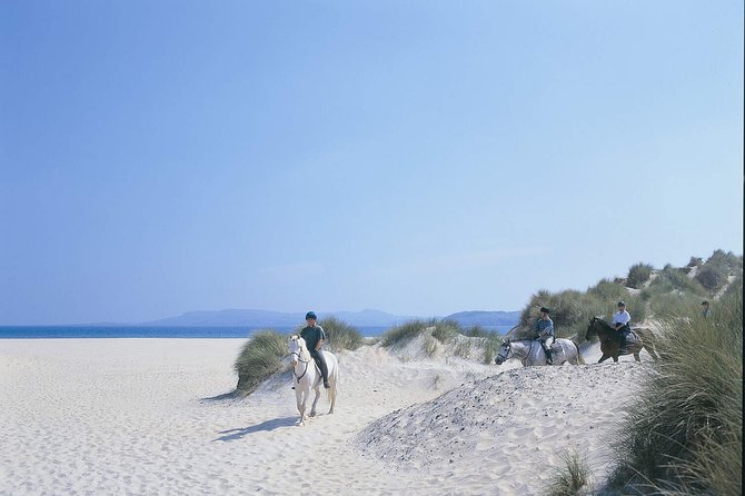 Beach & Countryside Horse Riding Outside Westport. Guided. 1 Hour - Scenic Route Highlights