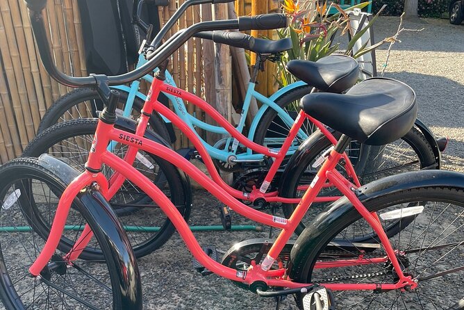 Beach Cruiser Bike Rental All Day - Key Points