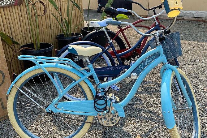 Beach Cruiser Bike Rental All Day - Recap