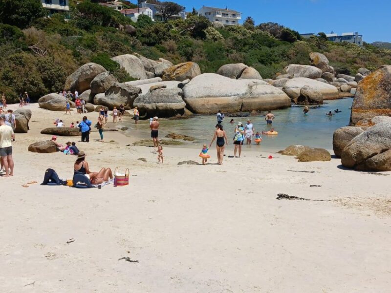 Beach Day at Boulders Beach & Penguin Watching, Half Day - Key Points