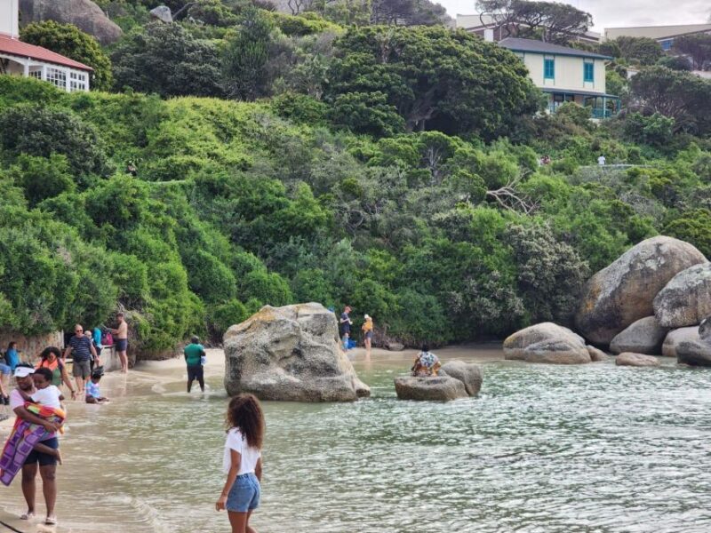 Beach Day at Boulders Beach & Penguin Watching, Half Day - Panoramic Views and Scenery