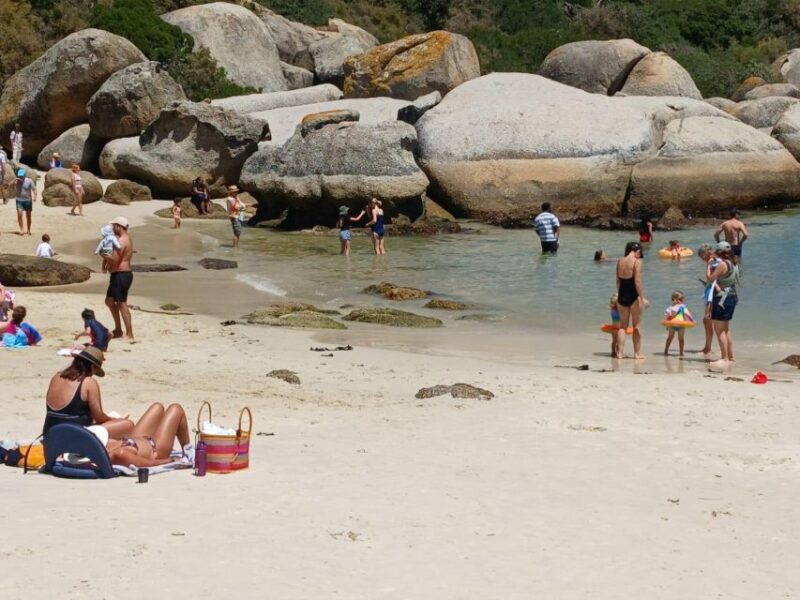 Beach Day at Boulders Beach & Penguin Watching, Half Day - Chapmans Peak Drive Experience