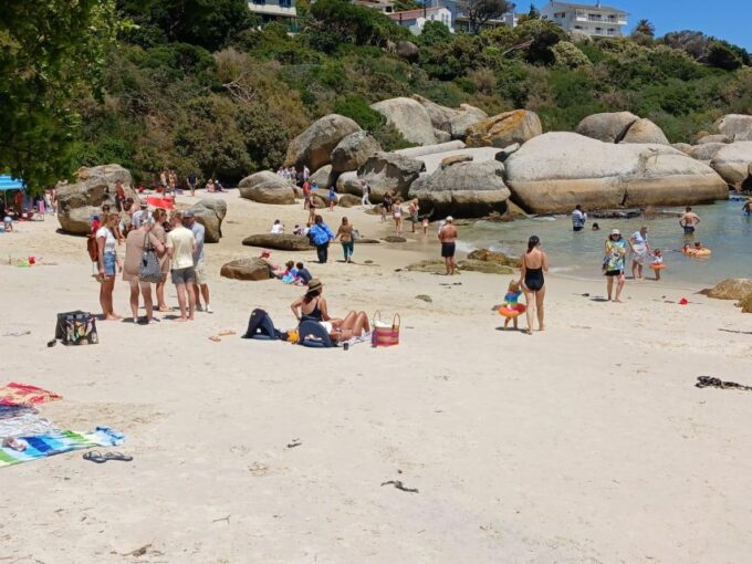 Beach Day at Boulders Beach & Penguin Watching, Half Day - Boulders Penguin Colony Visit