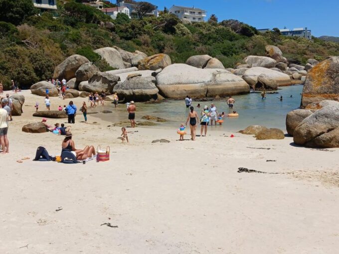 Beach Day at Boulders Beach & Penguin Watching, Half Day - Muizenberg Beach Exploration
