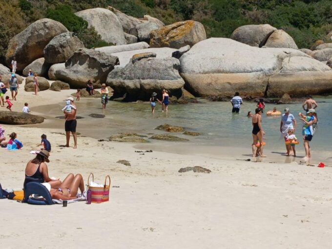 Beach Day at Boulders Beach & Penguin Watching, Half Day - Inclusions and Pricing Details