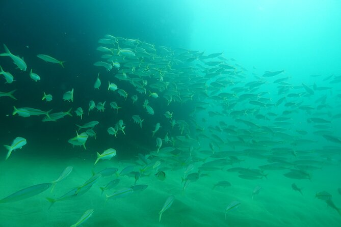 Beach Day at Chileno Bay - Frequently Asked Questions