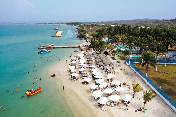 Beach Day at Palmarito Beach - Schedule