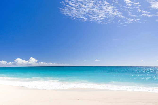Beach Day in Barbados With Shuttle Transfers - Customer Feedback and Reviews