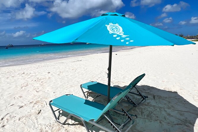 Beach Day in Barbados With Shuttle Transfers - Exploring the Surrounding Marine Life
