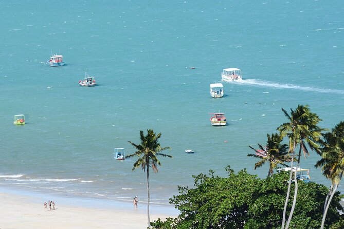 Beach Day In Maragogi With Catamaran Tour - Key Points
