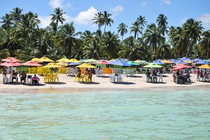 Beach Day In Maragogi With Catamaran Tour - Accessibility and Traveler Information