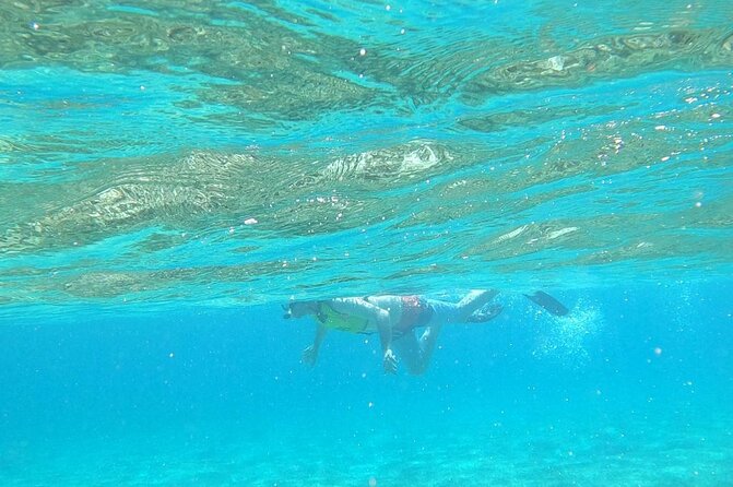 Beach Day Swim With Turtles and Pigs Excursion in Nassau - Inclusions and Amenities