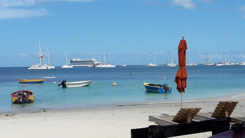 Beach Day With Round-Trip Transportation - Itinerary and Experience